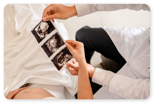 Desarrollo fetal descubre lo que ocurre mes a mes.png