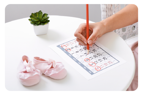 calcular-semanas-de-embarazo-2