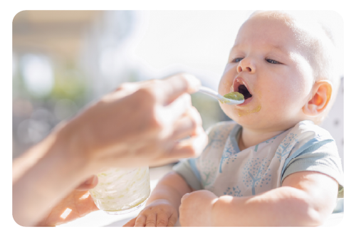 nutrientes-esenciales-2